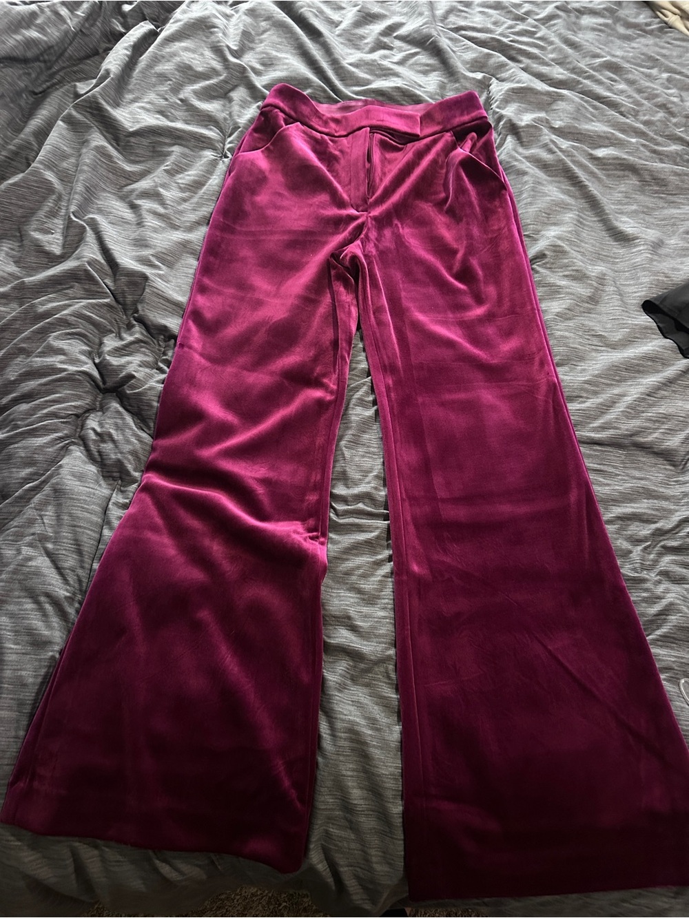 Velour Wide-Leg Pants in Berry